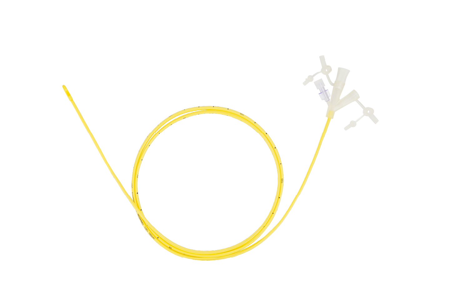 Enteral Feeding Catheter